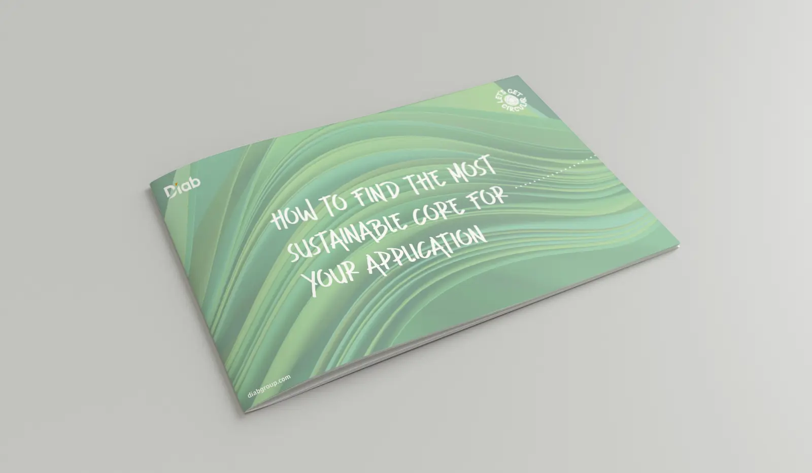 Download Diab Guide
